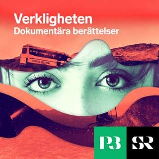 rss-verkligheten